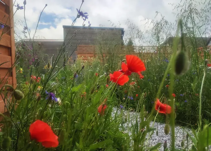 Apartamento Lebensfreude